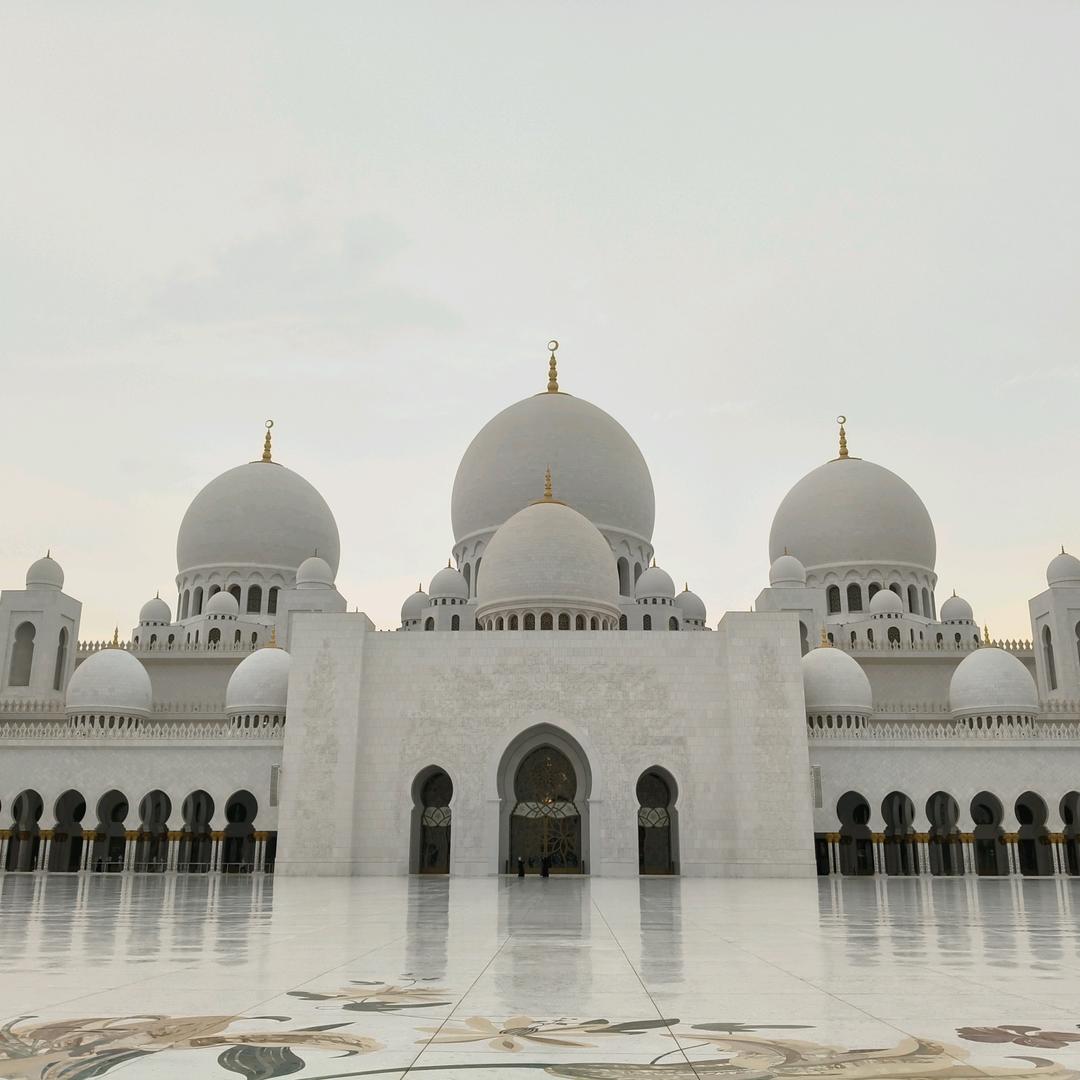 毛毛虫🐛Caterpillar