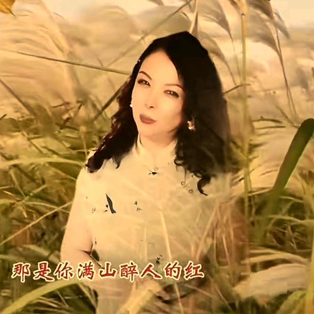 代号蔷薇