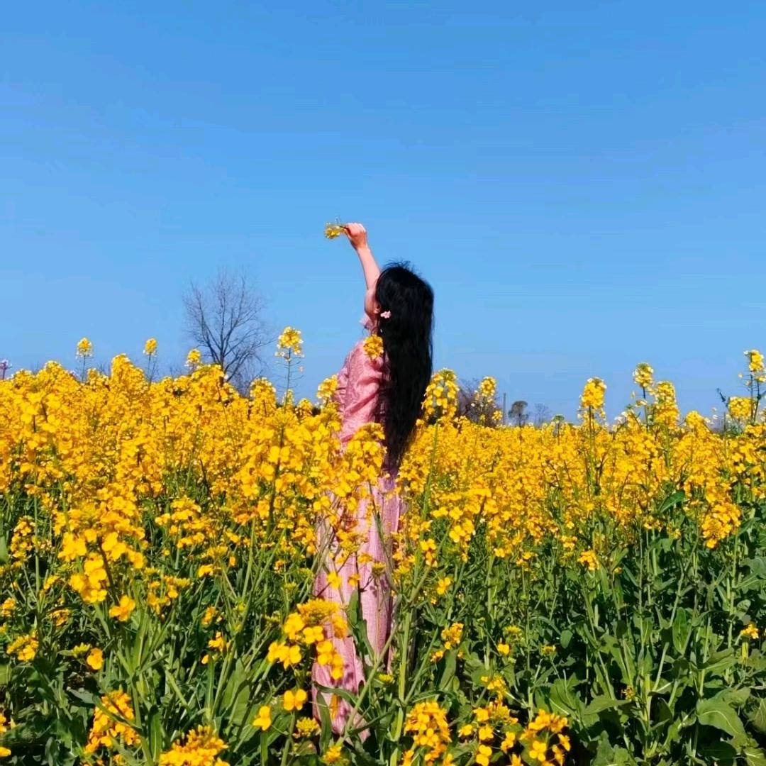 meijiaoniao2