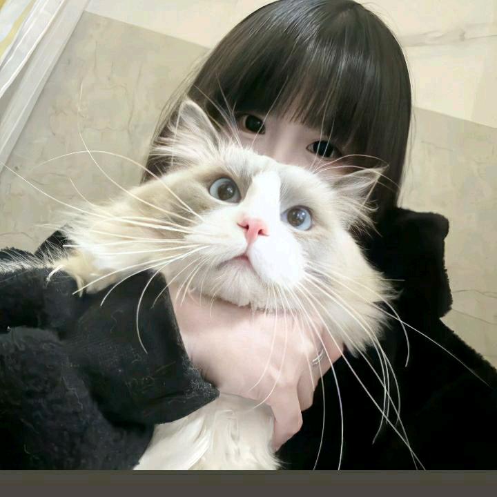 叫啥呢啊