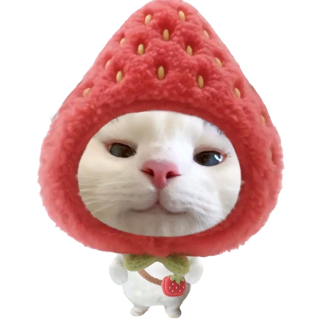 小老妹