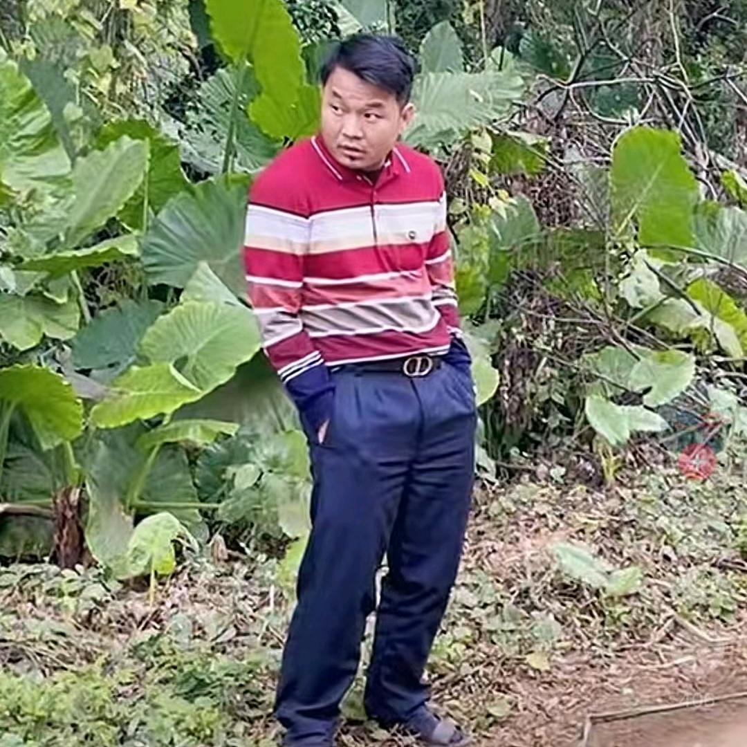一条小鱼儿