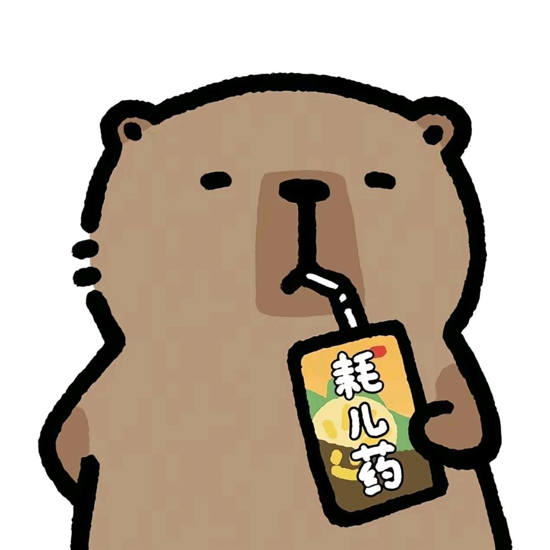 想去洱海鸭