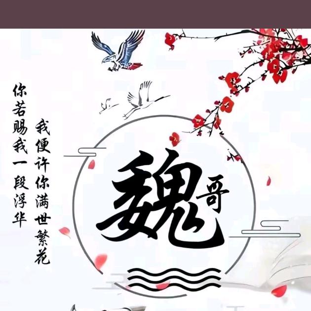 魏🛤来可期
