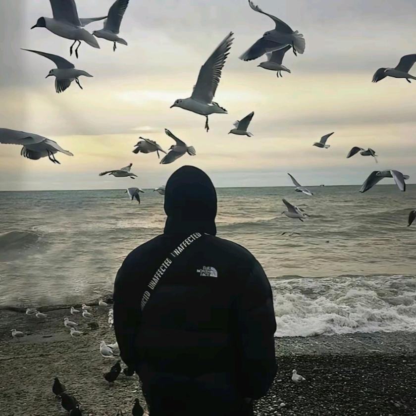 浩言.