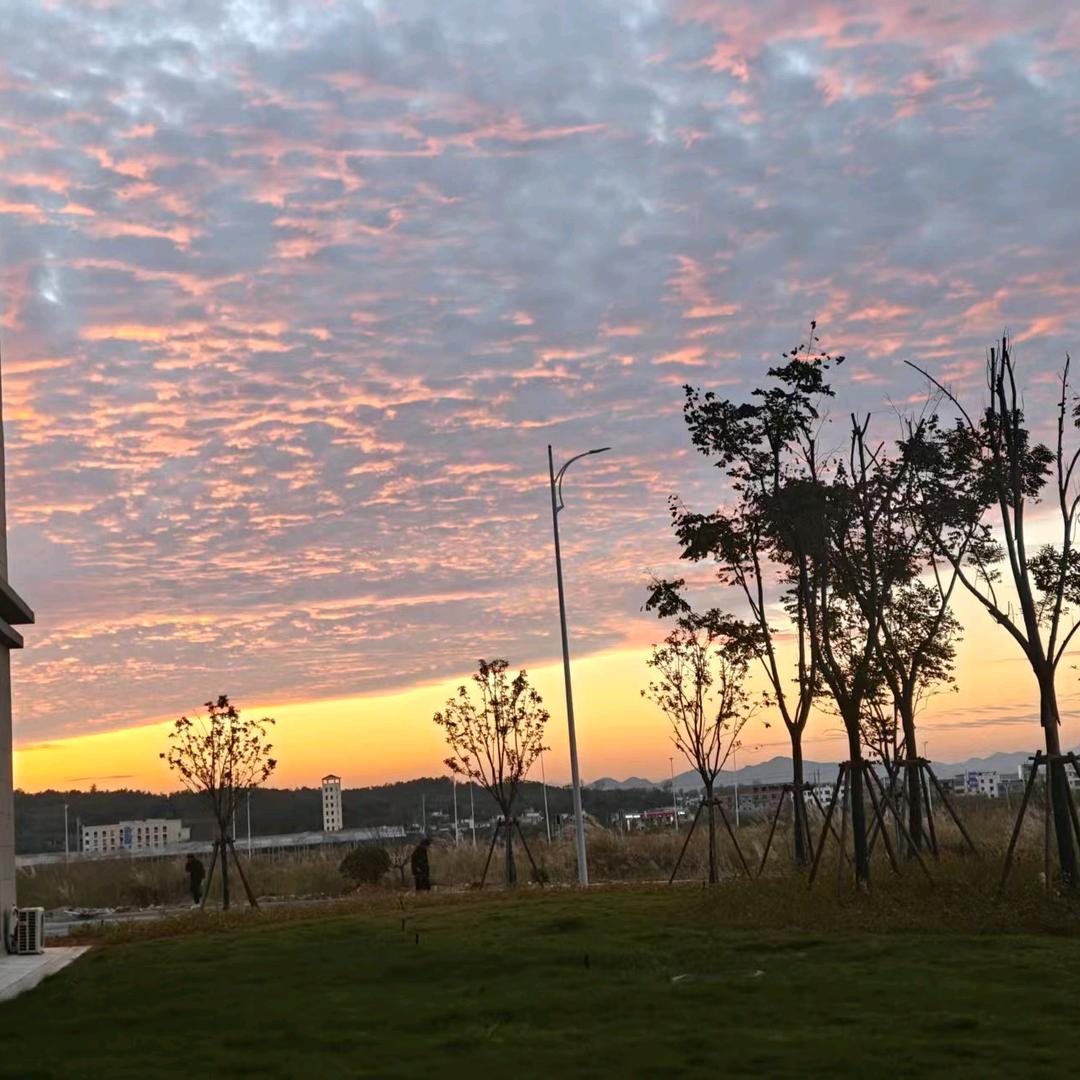 ꧔ꦿ᭄ 自ঞᩚ渡꧔ꦿ᭄