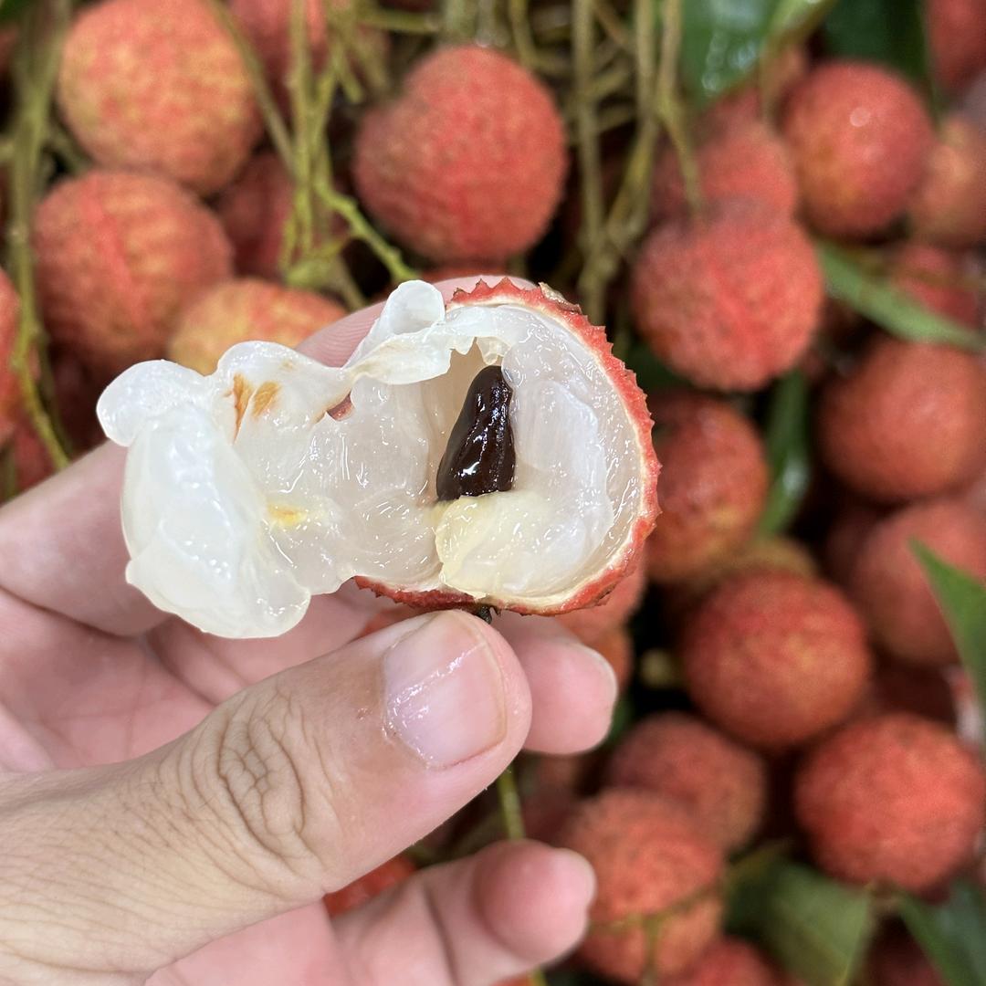 高州市益友食品商行