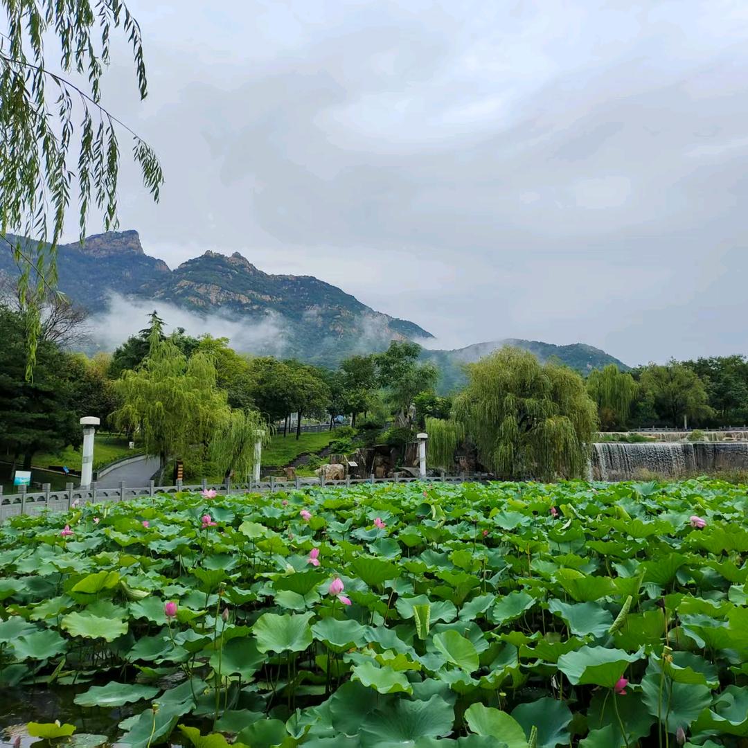龙行盛世