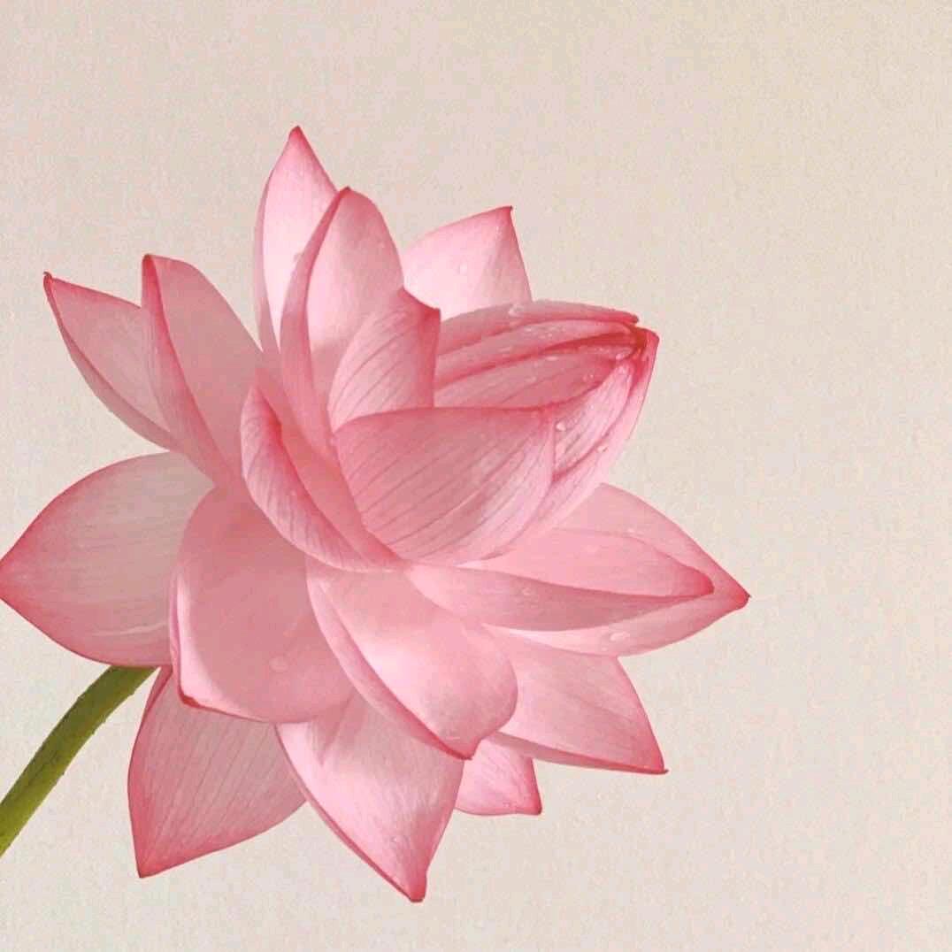 封心锁爱