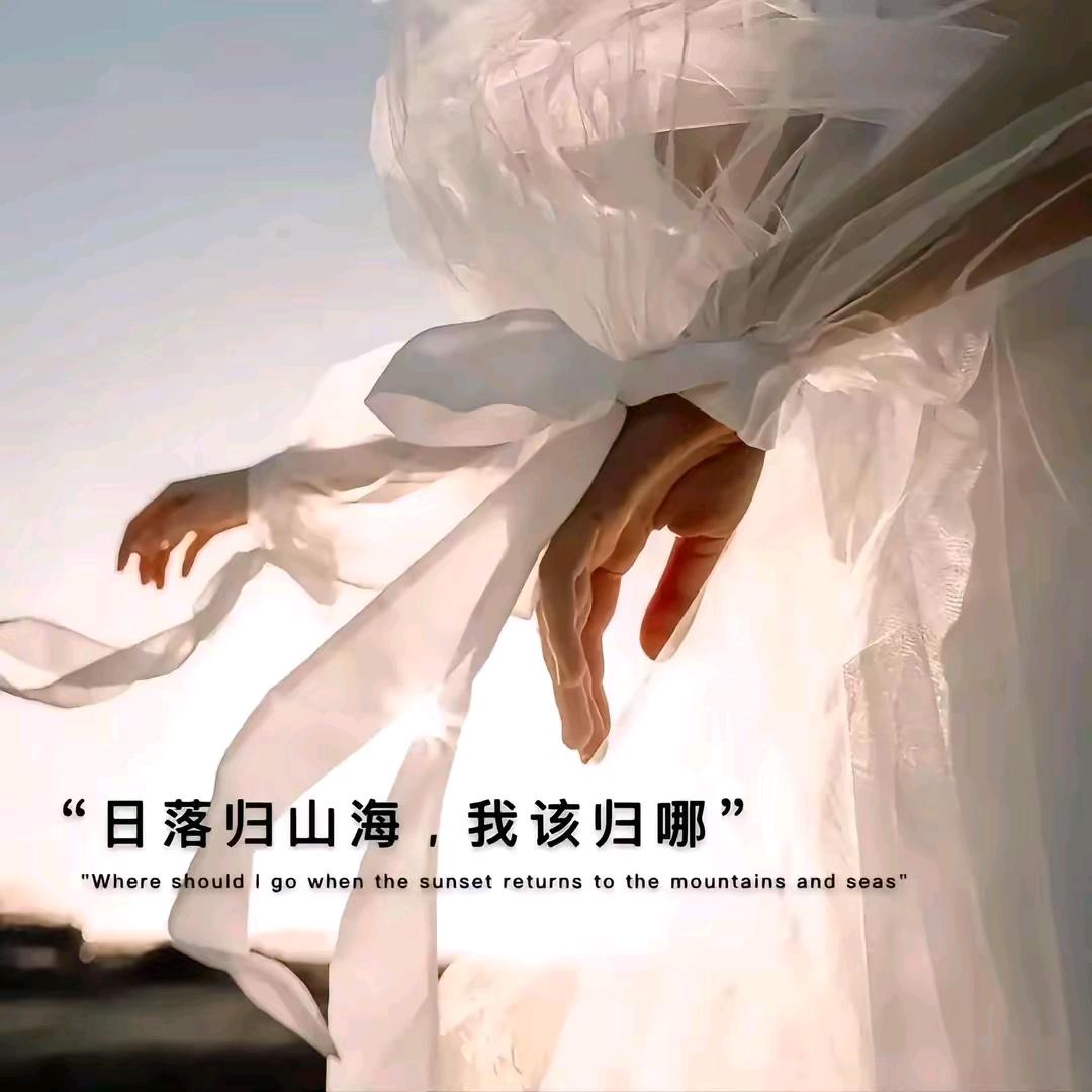 孤芳自赏💋💋