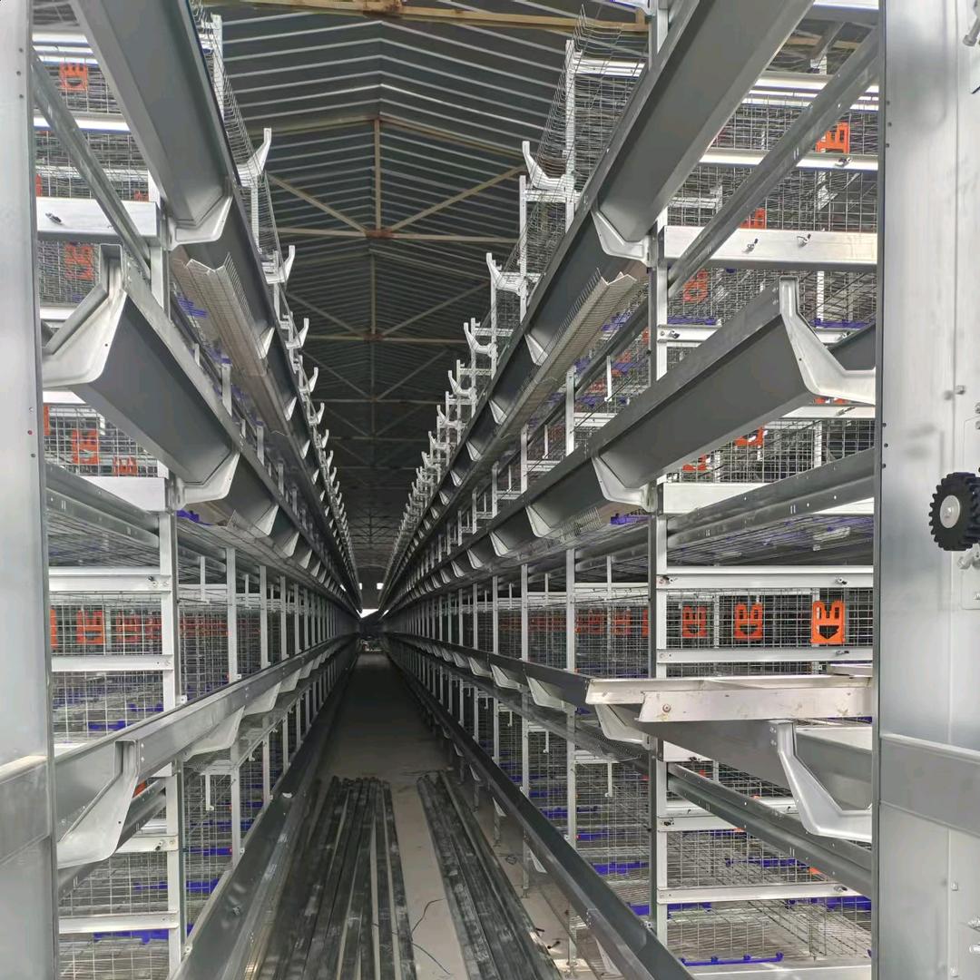 养鸡设备