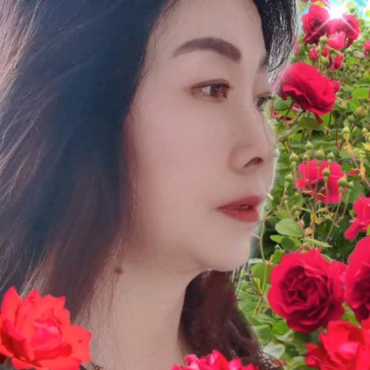 快乐的🌹