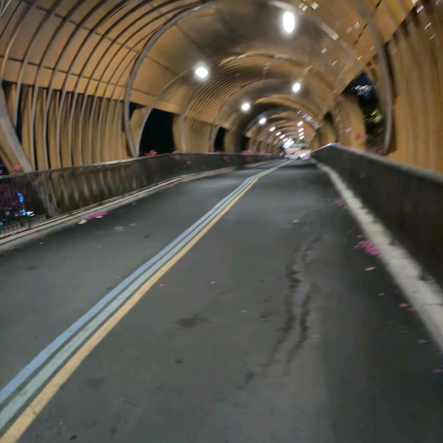 顺峰