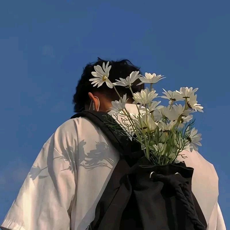 你个憨憨