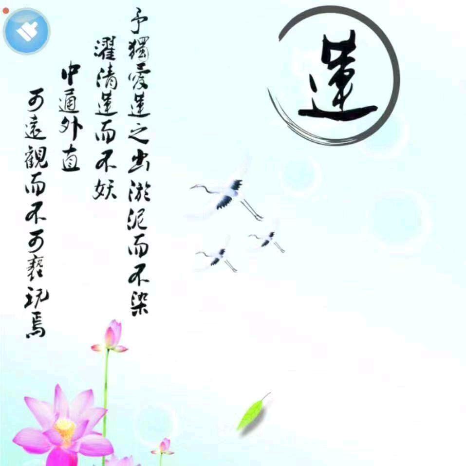 莲