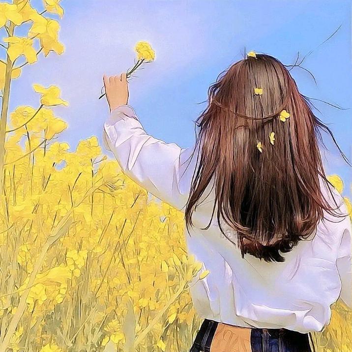 제  갈_