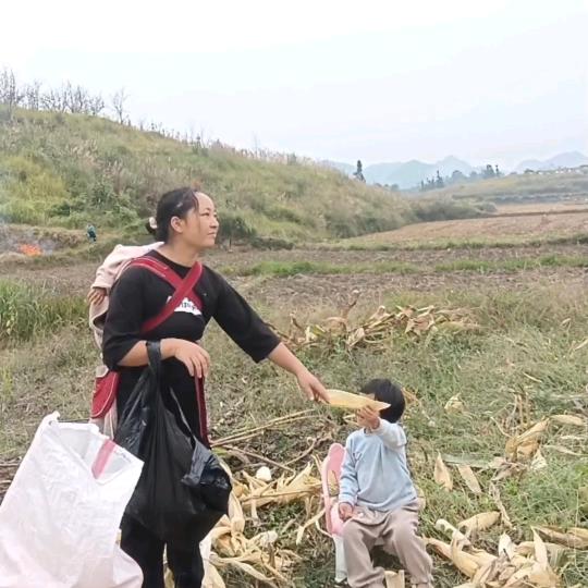 杨苦乐