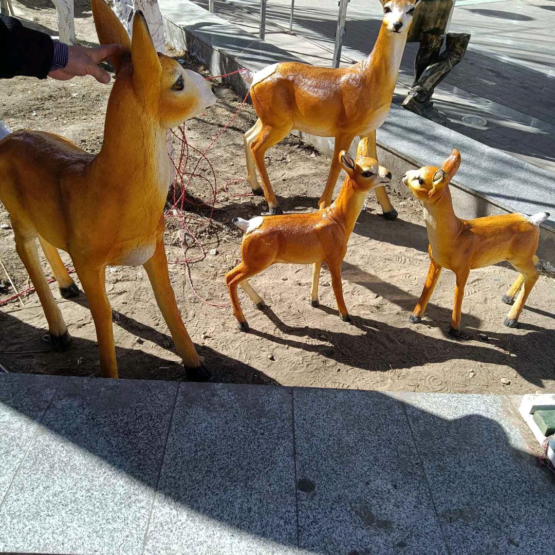你养我