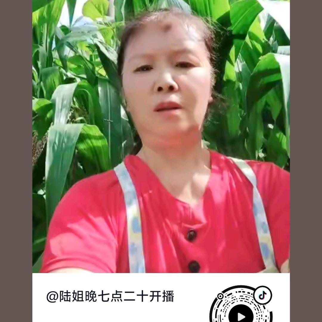 陆姐晚七点二十开