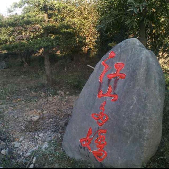 江山多娇Y