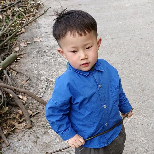 仙雾山肉牛养殖