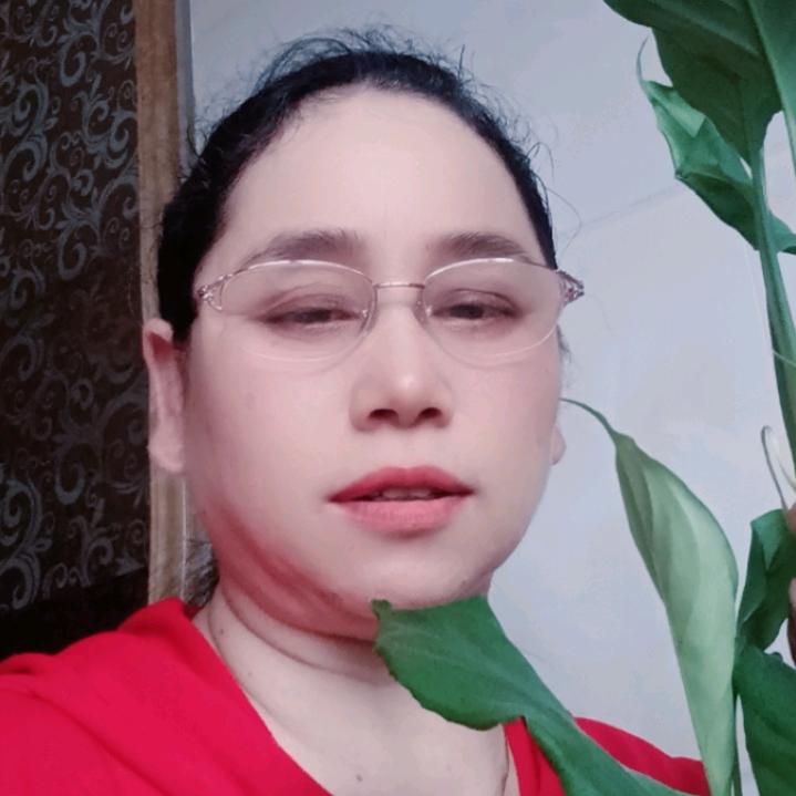 李林姐