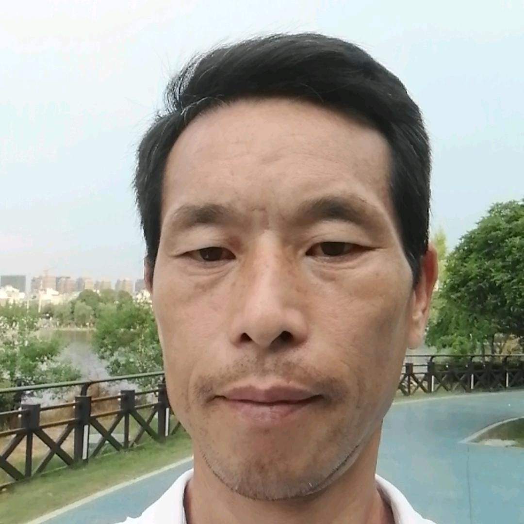 二毛