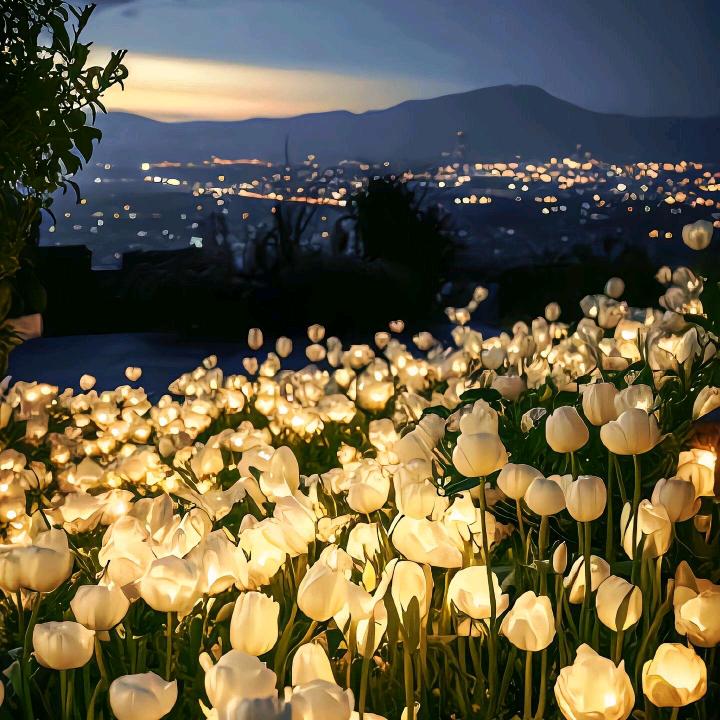 有一家超市官方号