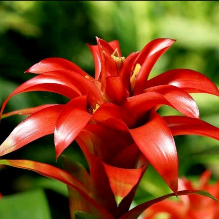 🎀荣晨琪林🎀