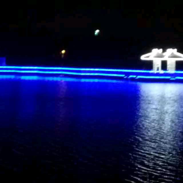 海燕
