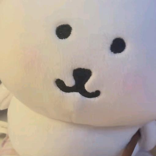 讨厌爱吃曲奇饼的小三