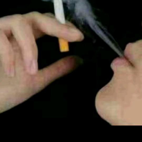 💞꧔ꦿ给我꯭ঞᩚ꯭一支煙🚬᭄¹⁶⁸⁸