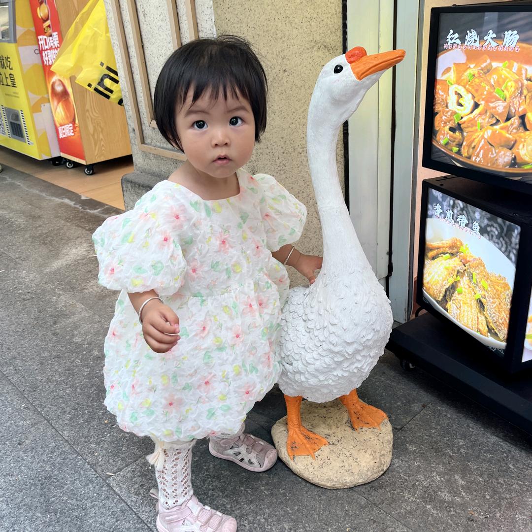 施二姐姐