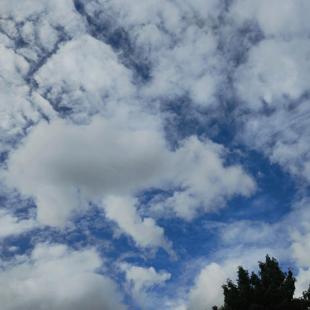 凨凪凮夙留