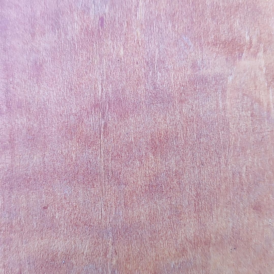 杨点耀
