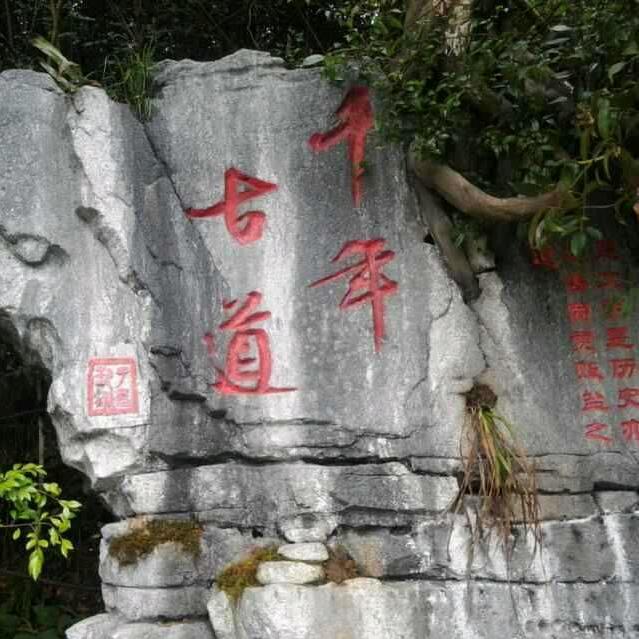 情感人生