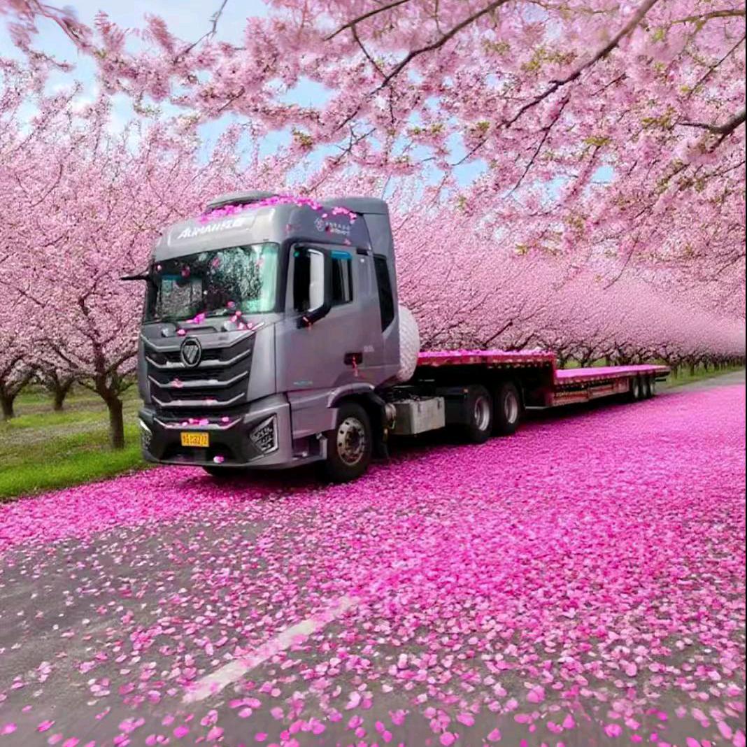 邂逅