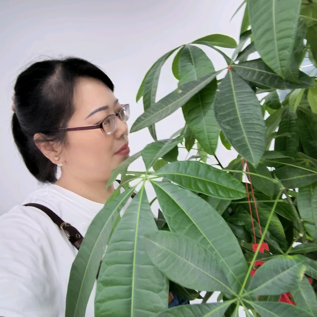 宋妹