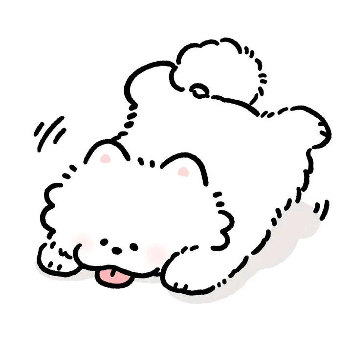 白玫瑰💤