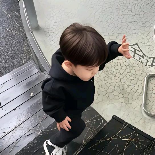 杨6