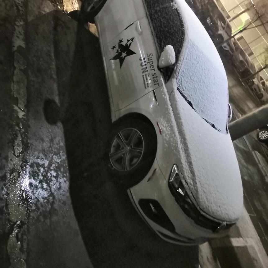 木灬木
