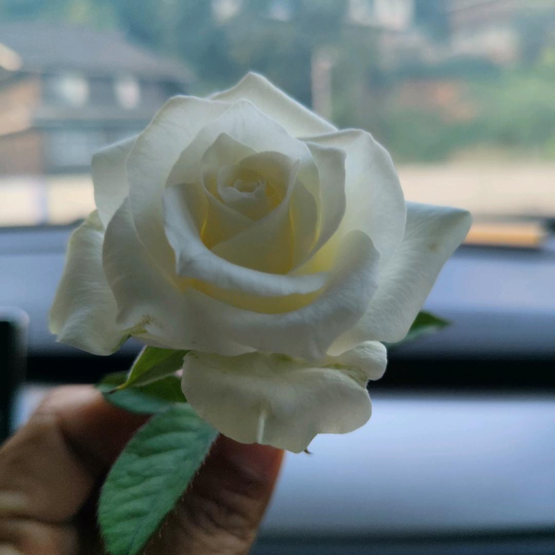 让❤归龄