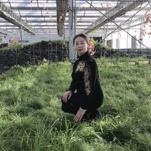 雅雅
