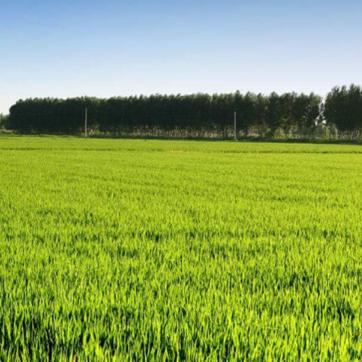 家铭粮油食品优品铺子