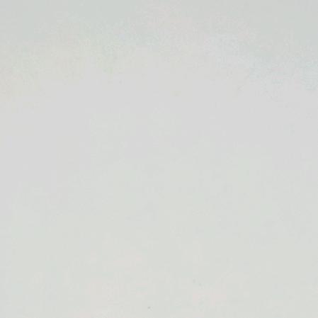 有鸡腿吗