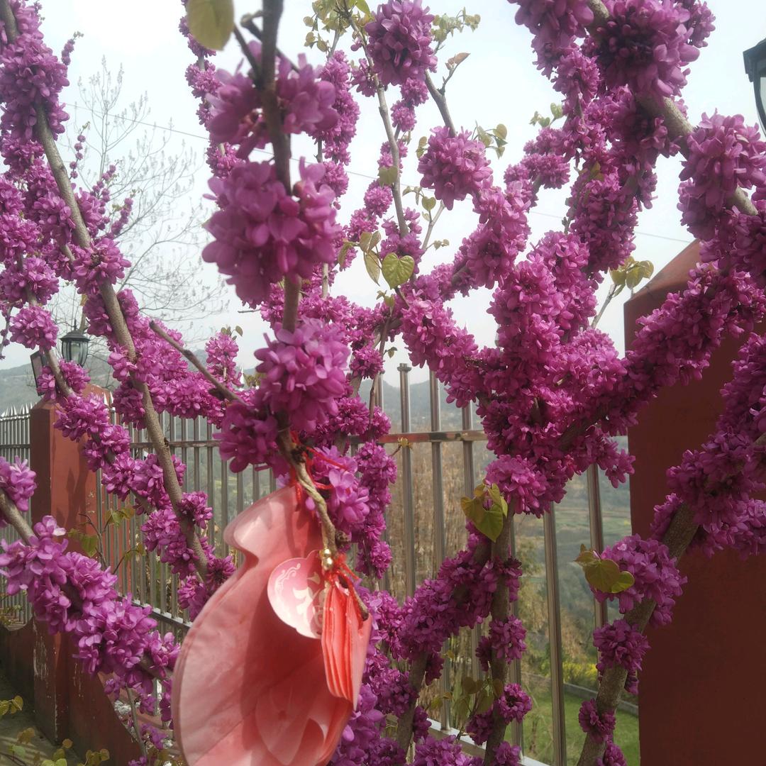 人的一生不容易