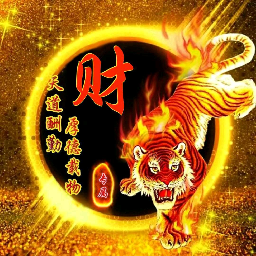 财哥
