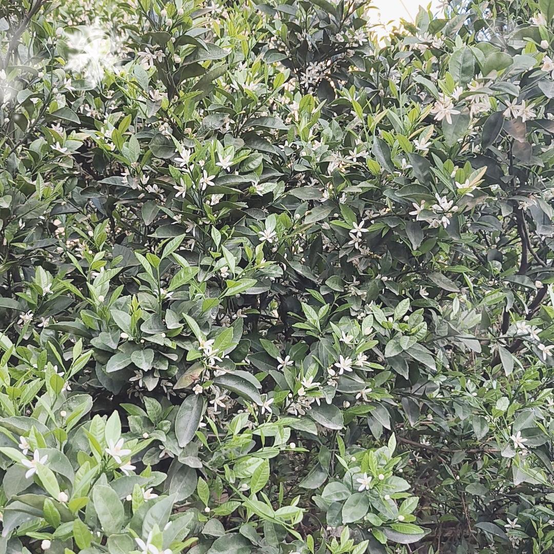 ♥东山*^_^*再起%