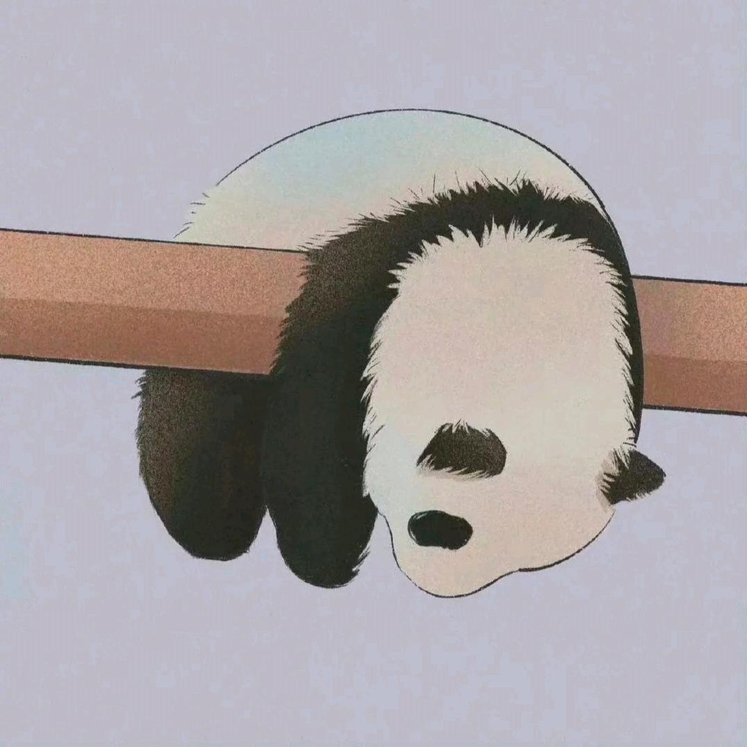 海碗🥣