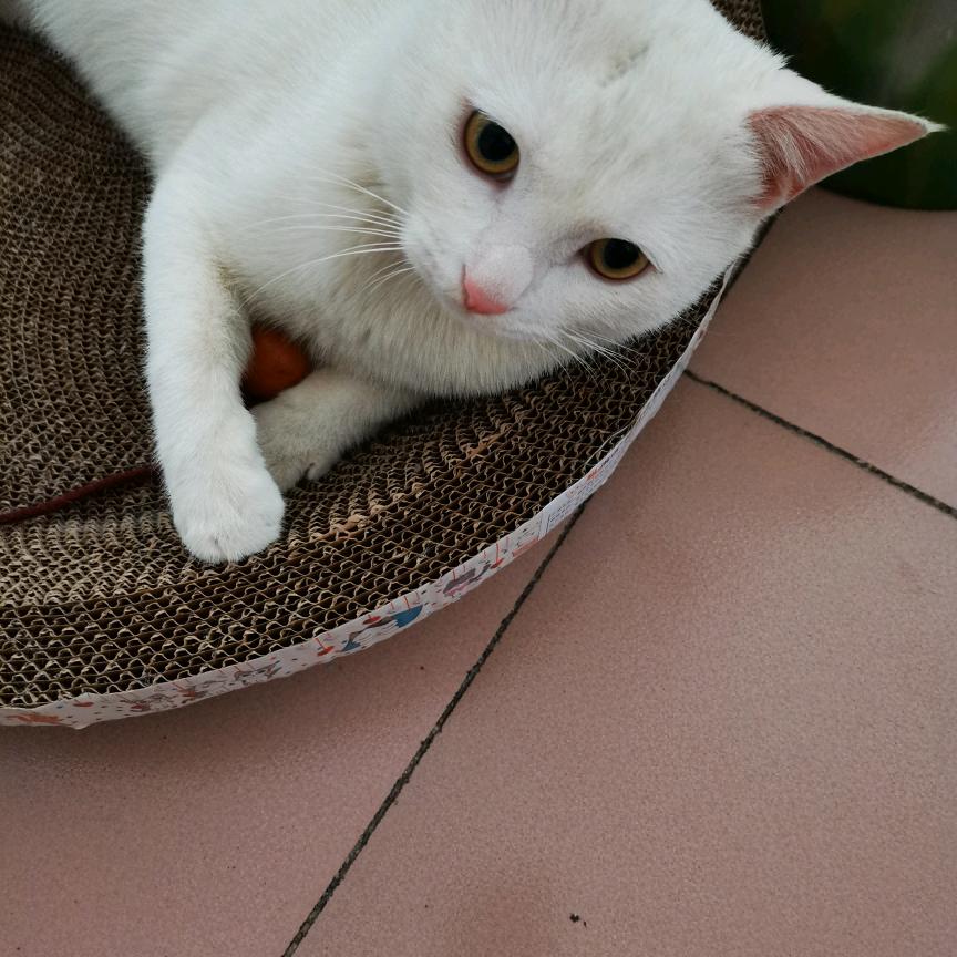 如沐春风